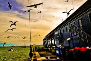 网页DDOS攻击平台