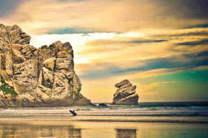 哪里能直接买的网站攻击源码