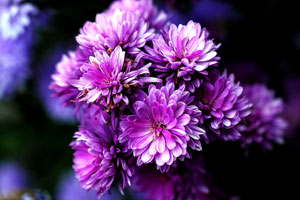 【Bug修复版】完美运行的DDOS攻击器